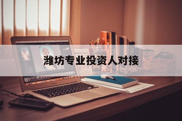 齐齐哈尔市潍坊专业投资人对接(潍坊专业投资人对接中心)