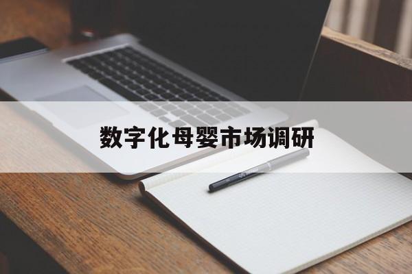 齐齐哈尔市数字化母婴市场调研(数字化母婴市场调研报告)