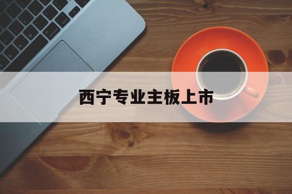 齐齐哈尔市西宁专业主板上市(西宁有什么上市公司)